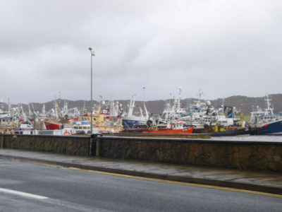 Fishing fleet, Killybegs, Donegal
