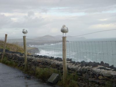 Sentinels, Dingle Peninsula, Kerry