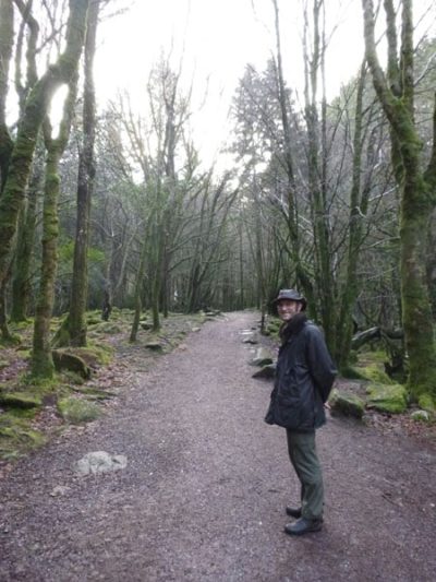 Killarney National Park, Kerry